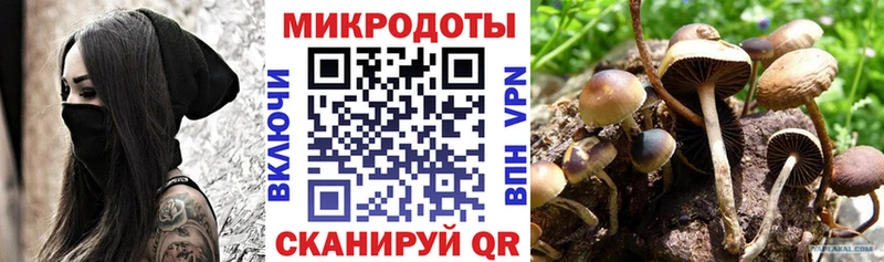 Галлюциногенные грибы GOLDEN TEACHER  Купить  Новоалтайск 